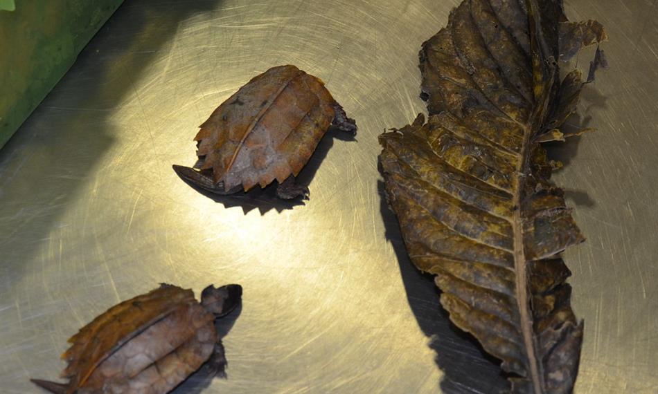 2014-6-10-1251foto 4.jpg